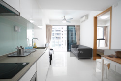 Bartley Ridge (D13), Condominium #238629041